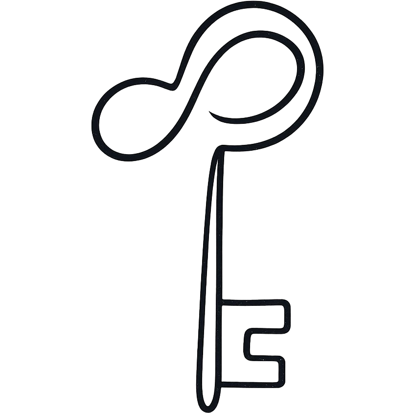minimal key icon, calligraphic style, fluid lines, black color, refined appearance emoji