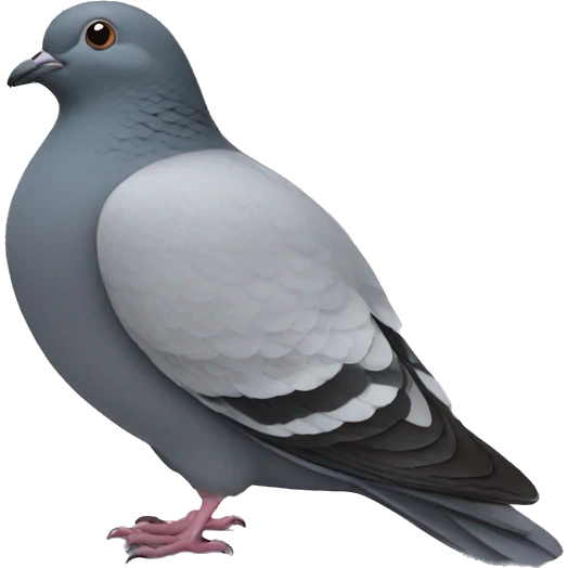 fat pigeon emoji