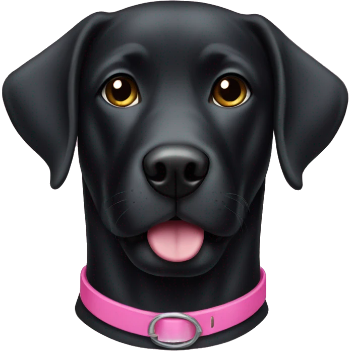 black lab with a pink collar emoji