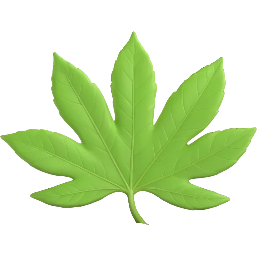 A single fresh green leaf lying on top of soil or ground. Natural lighting, soft shadows emoji