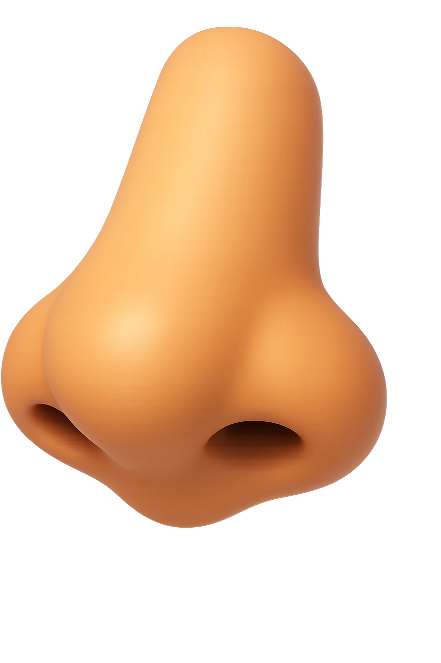 emoji 3d stile iphone di naso umano emoji