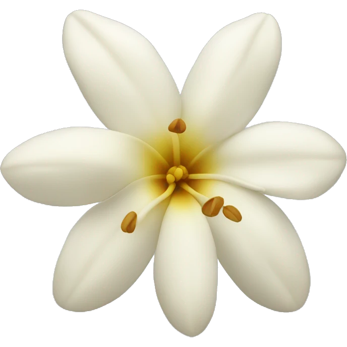 vanilla flower  emoji