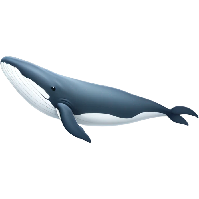 white whale , underside emoji