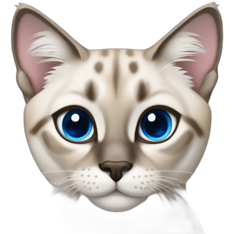 lynx-point-siamese-cat-blue-eyes emoji