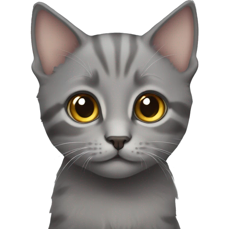 Grey kitten with hazel eyes  emoji