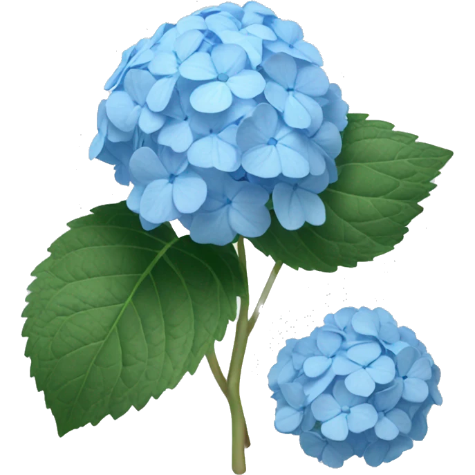 Light blue hydrangea emoji