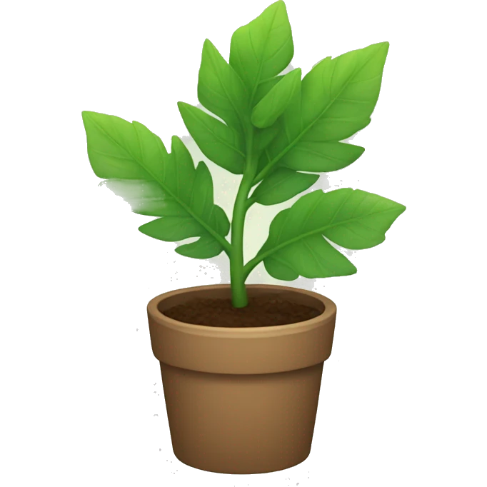 small plant with a lot of leaves emoji
