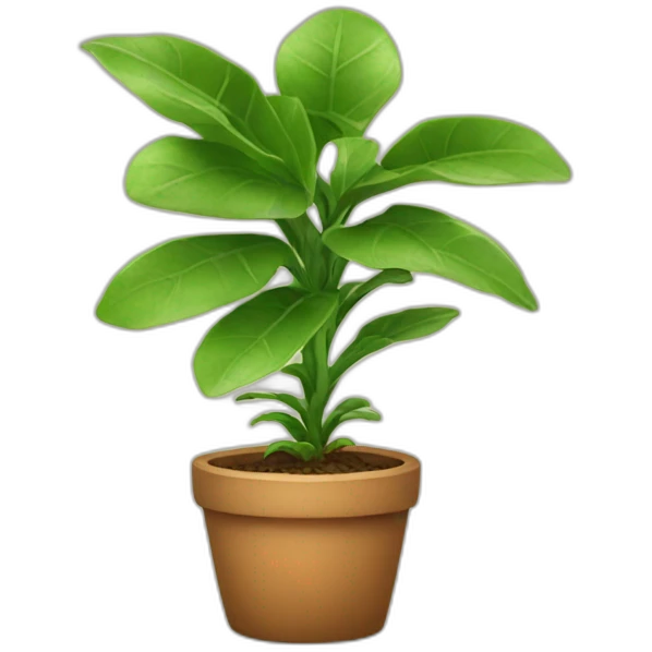 Home plant with eyes emoji