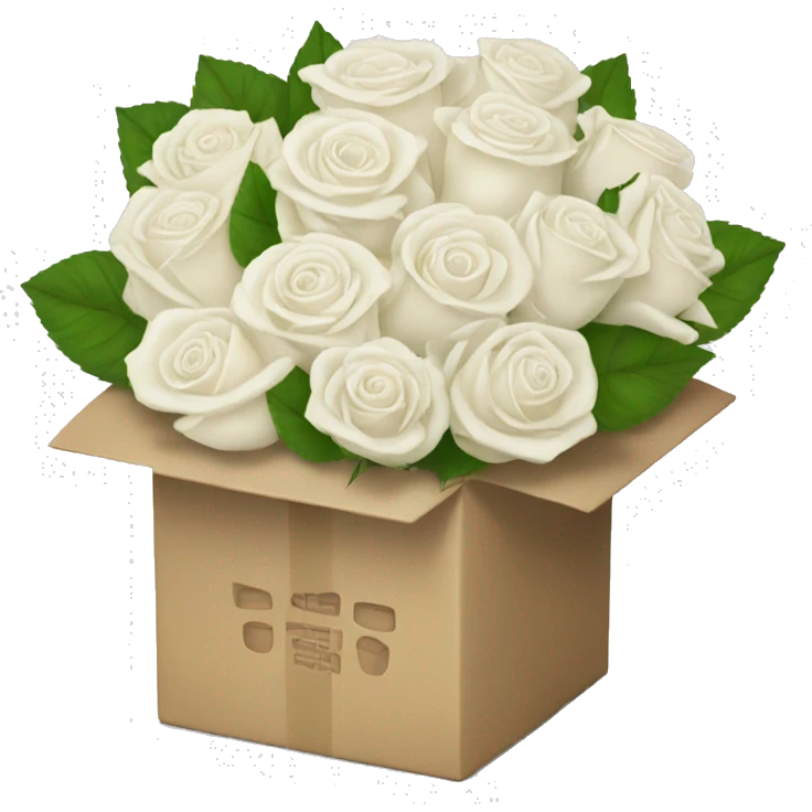 White rose bouquet with a box holding the bouquet together emoji