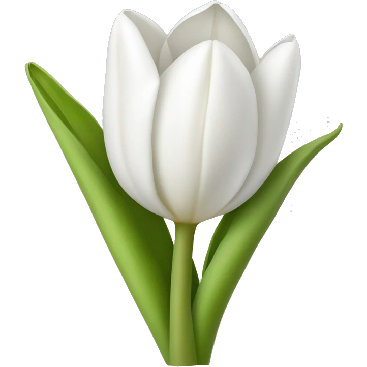 white tulip bouquet  emoji