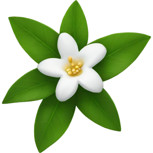 Jasmine Flower emoji