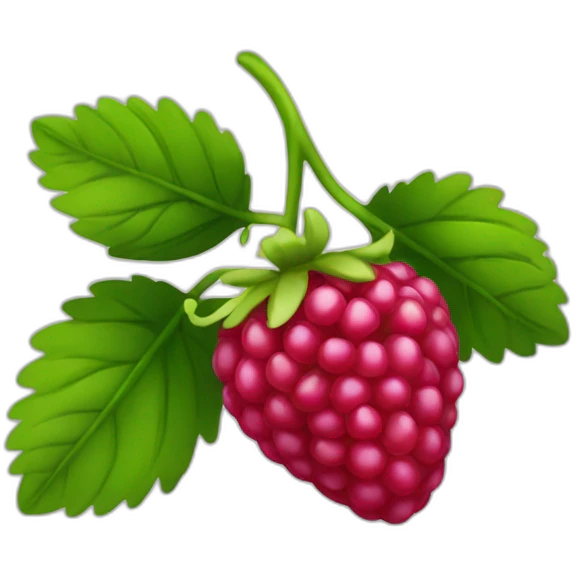 Rasberry emoji