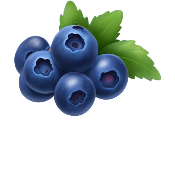 Blueberries  emoji