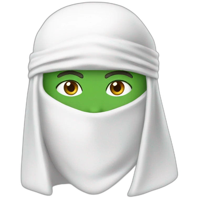 white-ninja-with-a-white-veil-on-his-head,-green-eyes emoji