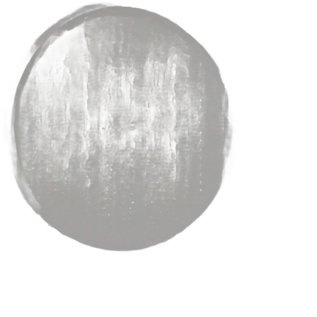 empty circle emoji