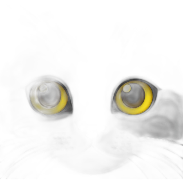 A british shorthair cat in schildpatt and with yellow eyes emoji