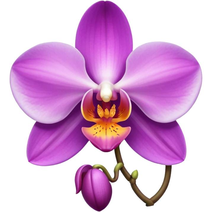 Phalaenopsis orchid which is beige and purple emoji