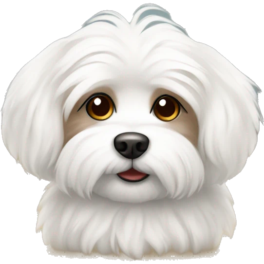Fluffy maltese with brown ears  emoji
