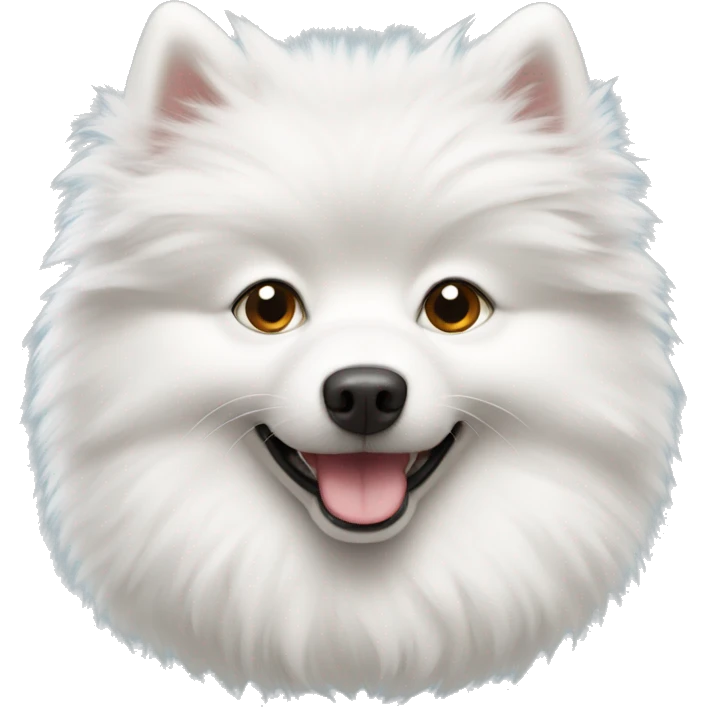 white fluffy spitz  emoji