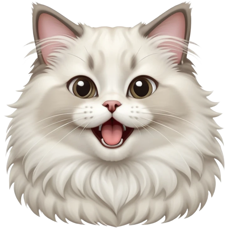cinematic-adorable-big-eyed-fluffy-ragdoll-cat-portrait-emoji,-head-tilted-playfully-with-a-cute,-exaggerated-yawn,-white and grey fur,-simplified-yet-irresistibly-cute-features emoji