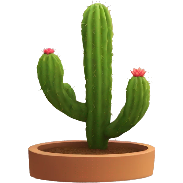 Cactus with a sunset emoji