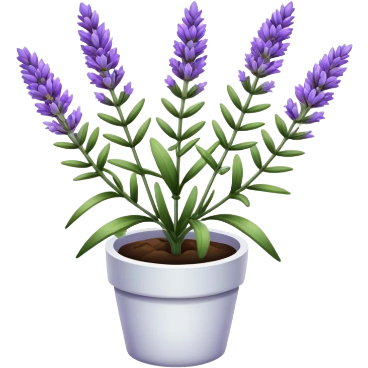 only lavender plant  emoji