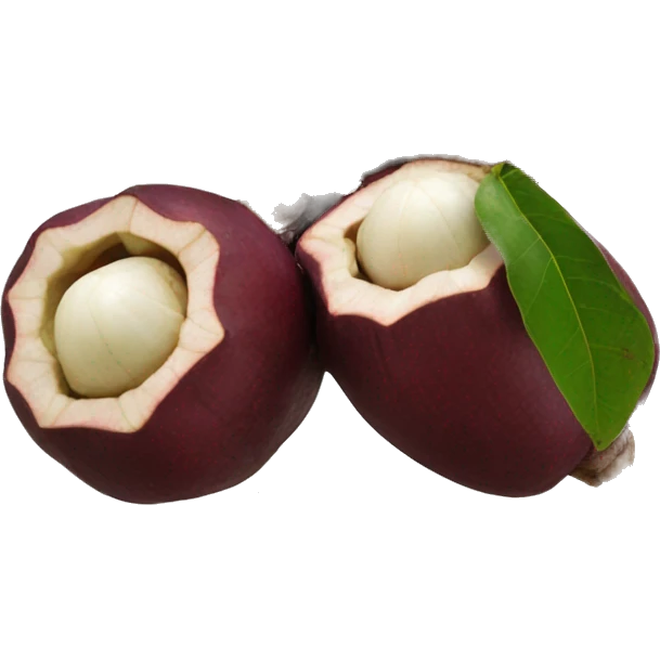 mangosteen emoji