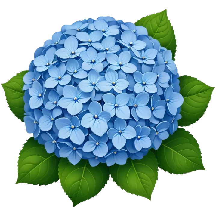 Beautiful blue hydrangea flower cluster with rounded ball shape and lush green leaves emoji
