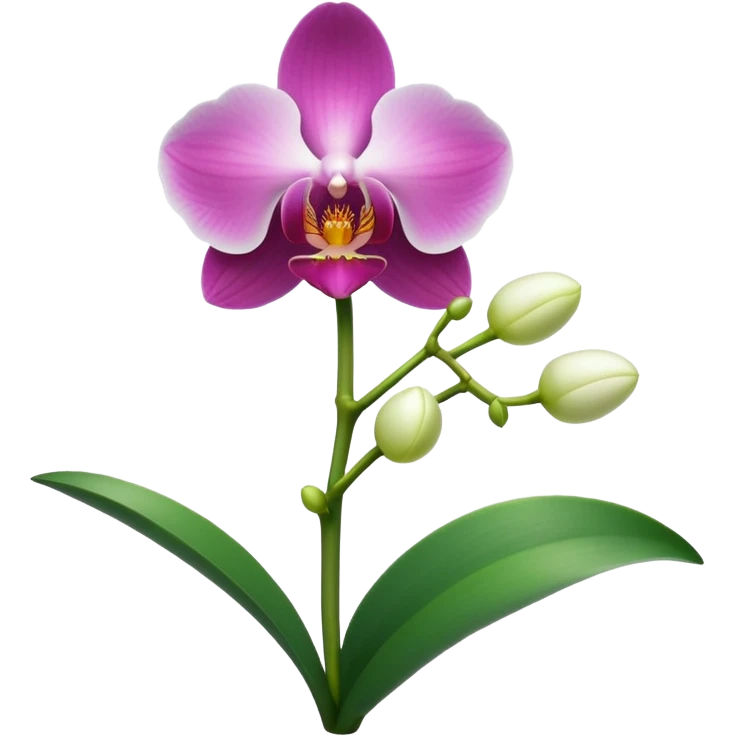 Orchidea emoji