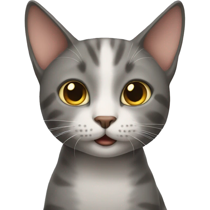 Cat emoji