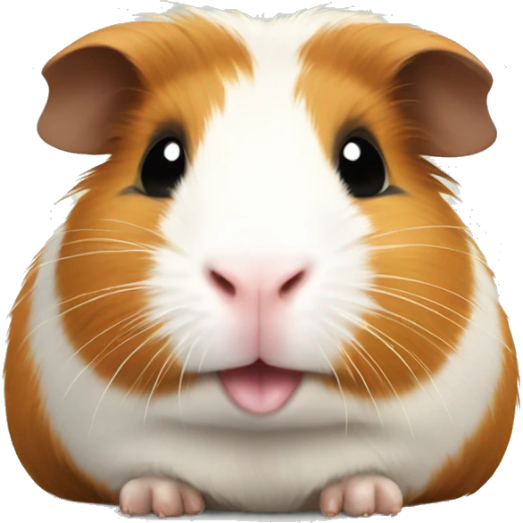 Guinea pig friends  emoji
