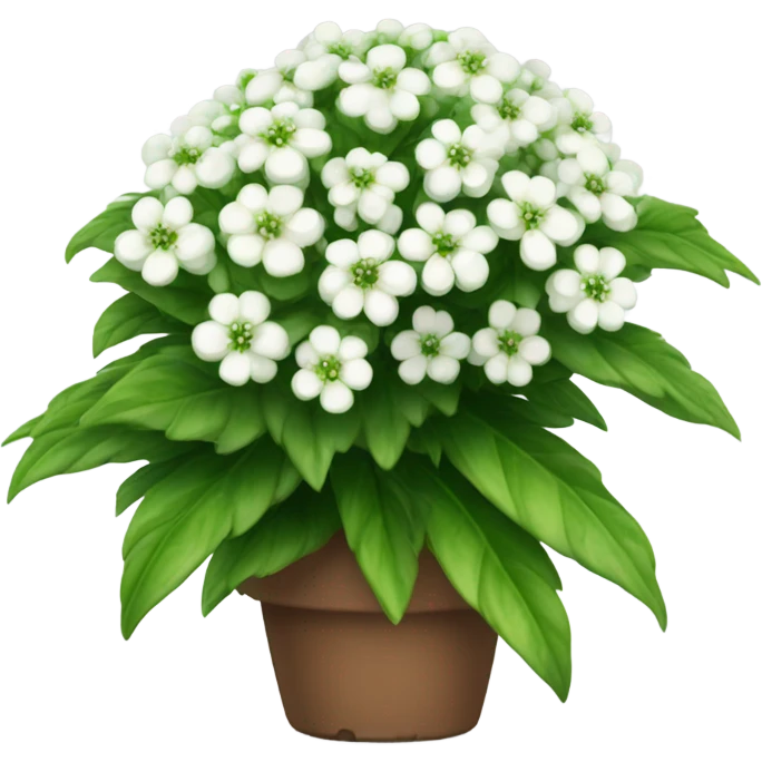 Kokina emoji