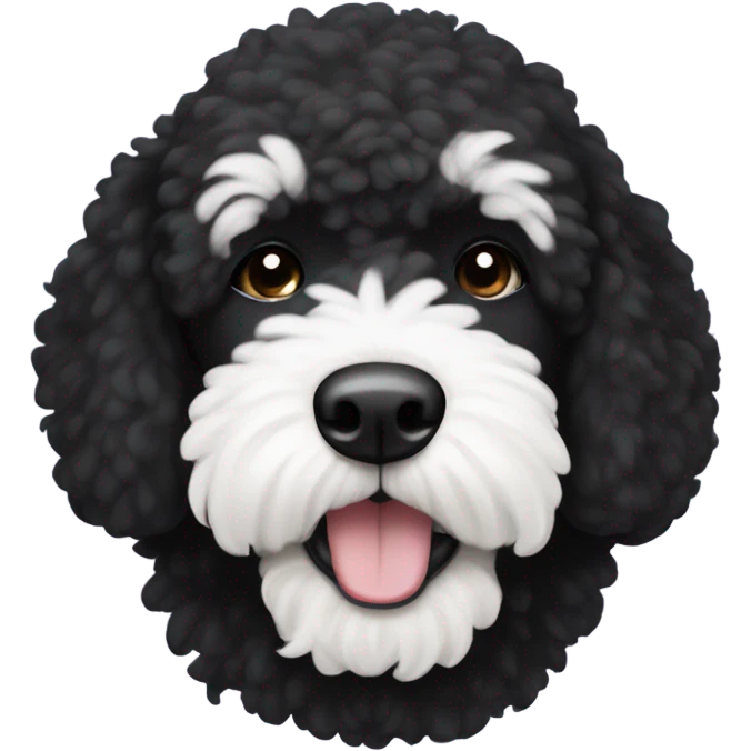 Black bernadoodle with white around mouth and big white eyebrows  emoji