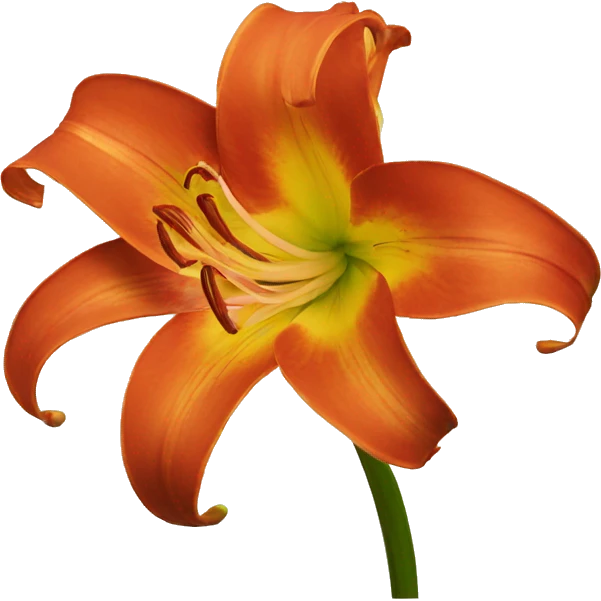 fire colour glory lily emoji