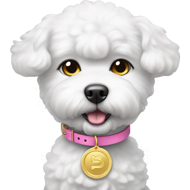 bichon dog wearing a pink collar with a gold coin shaped tag hanging from the collar emoji