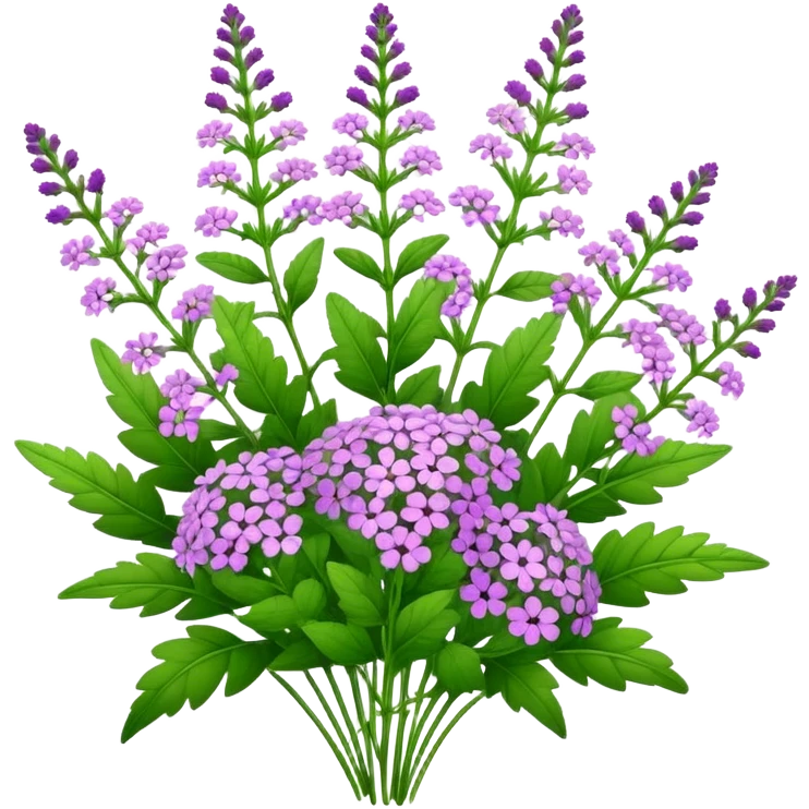 big bouquet Verbena, stem, leaf emoji