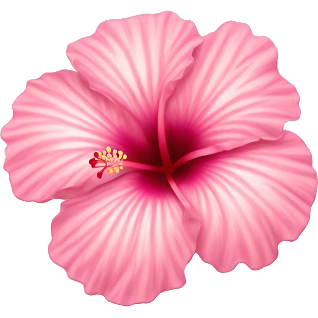Light pink hibiscus  emoji