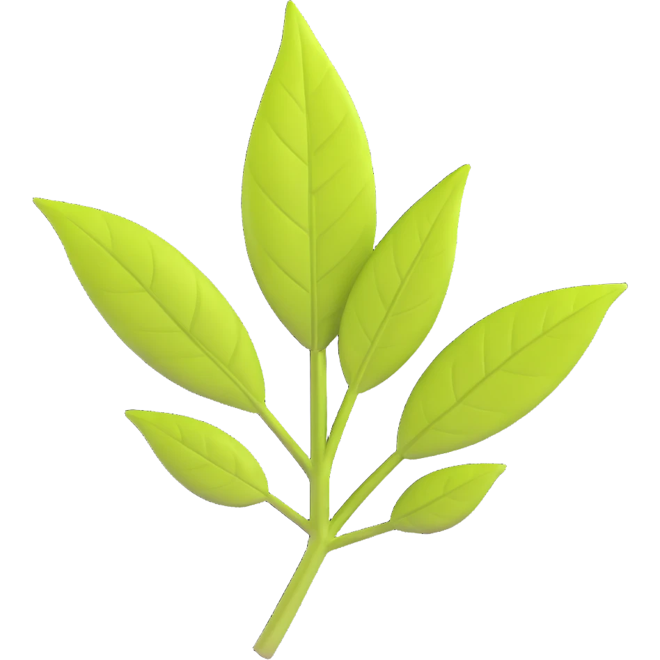 yerba mate leaf emoji