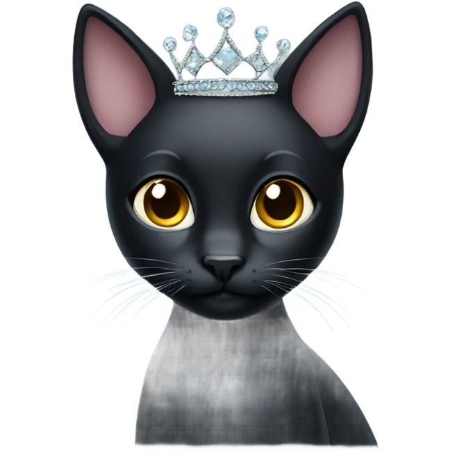 Black cat with tiara emoji