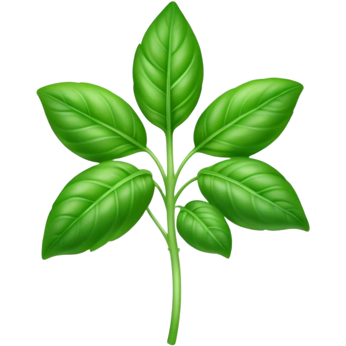 Cinematic Realistic Basil Emoji, Lush and fragrant, with vibrant green leaves that release a fresh, herbal aroma. The soft, glossy leaves are delicately arranged along slender stems, exuding vitality and flavor. Soft glowing outline, capturing the essence of freshness, growth, and aromatic delight in a blossoming basil plant! emoji