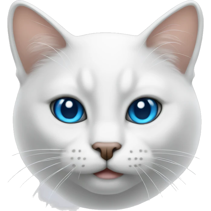 gatto bianco con gli occhi azzurri emoji