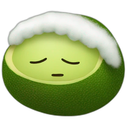 Sleeping face of a fluffy stuffed avocado emoji