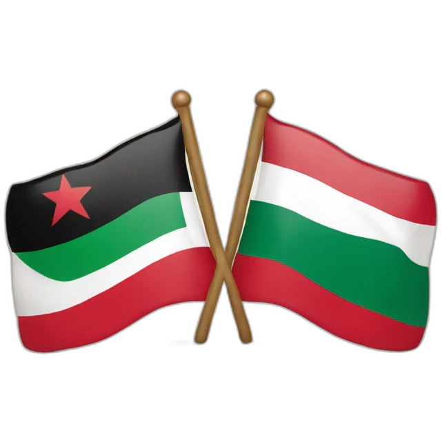 two flags palestine and morocco emoji