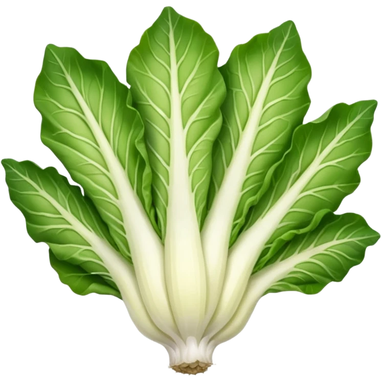 green blegian endive radicchio slim single head  emoji