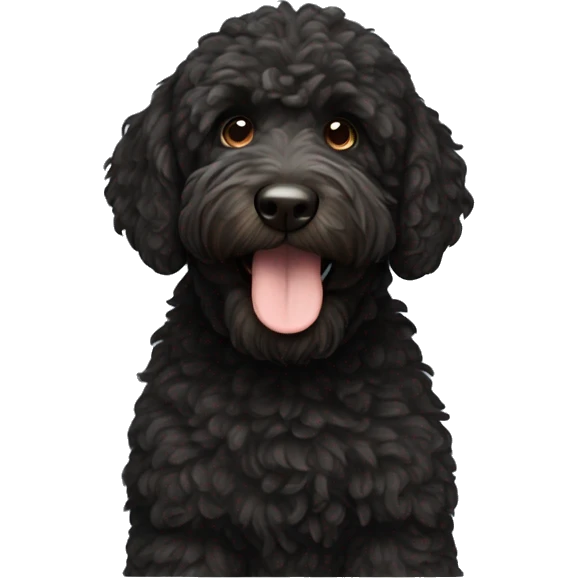 black Berndoodle with brown snout emoji