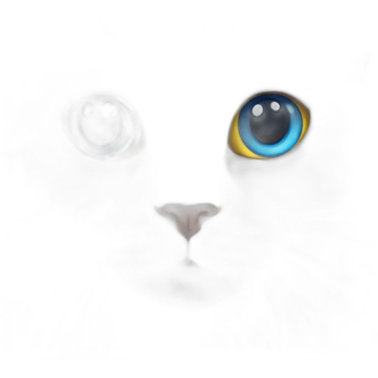 A furry white cat with heterochromia but with one blue eye and the other yellow. emoji