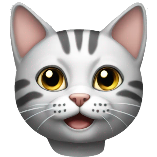 Car cat emoji