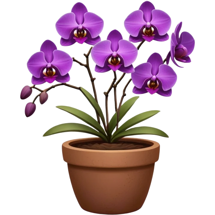 Purple Orchid in a clay pot emoji