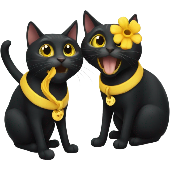 Blackcat with yellowcat emoji