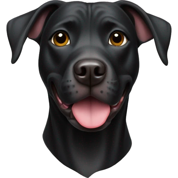 Black lab pit bull mix  emoji
